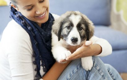 Show Your Pet That You Love It By Getting Pet Insurance